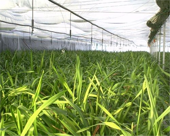 b201112022035488747.jpg b201112022035488747.jpg